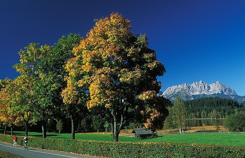 Kitzbühel im Sommer erleben PENSION HÖRL Erika Hörl