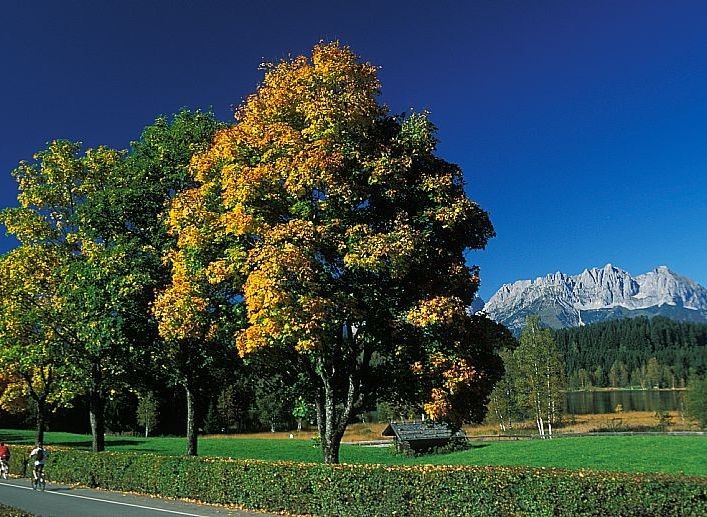 Kitzbühel im Sommer erleben PENSION HÖRL Erika Hörl
