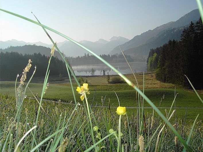 Kitzbühel im Sommer PENSION HÖRL Erika Hörl