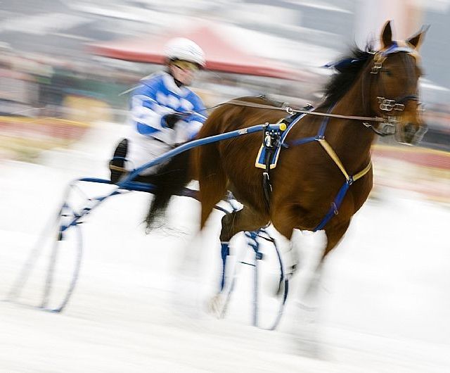Skiurlaub Kitzbühel PENSION HÖRL Erika Hörl